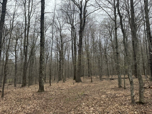 Lot 4 Shaver Hill Road Meridale, NY 13806 - Photo 14 of 44
