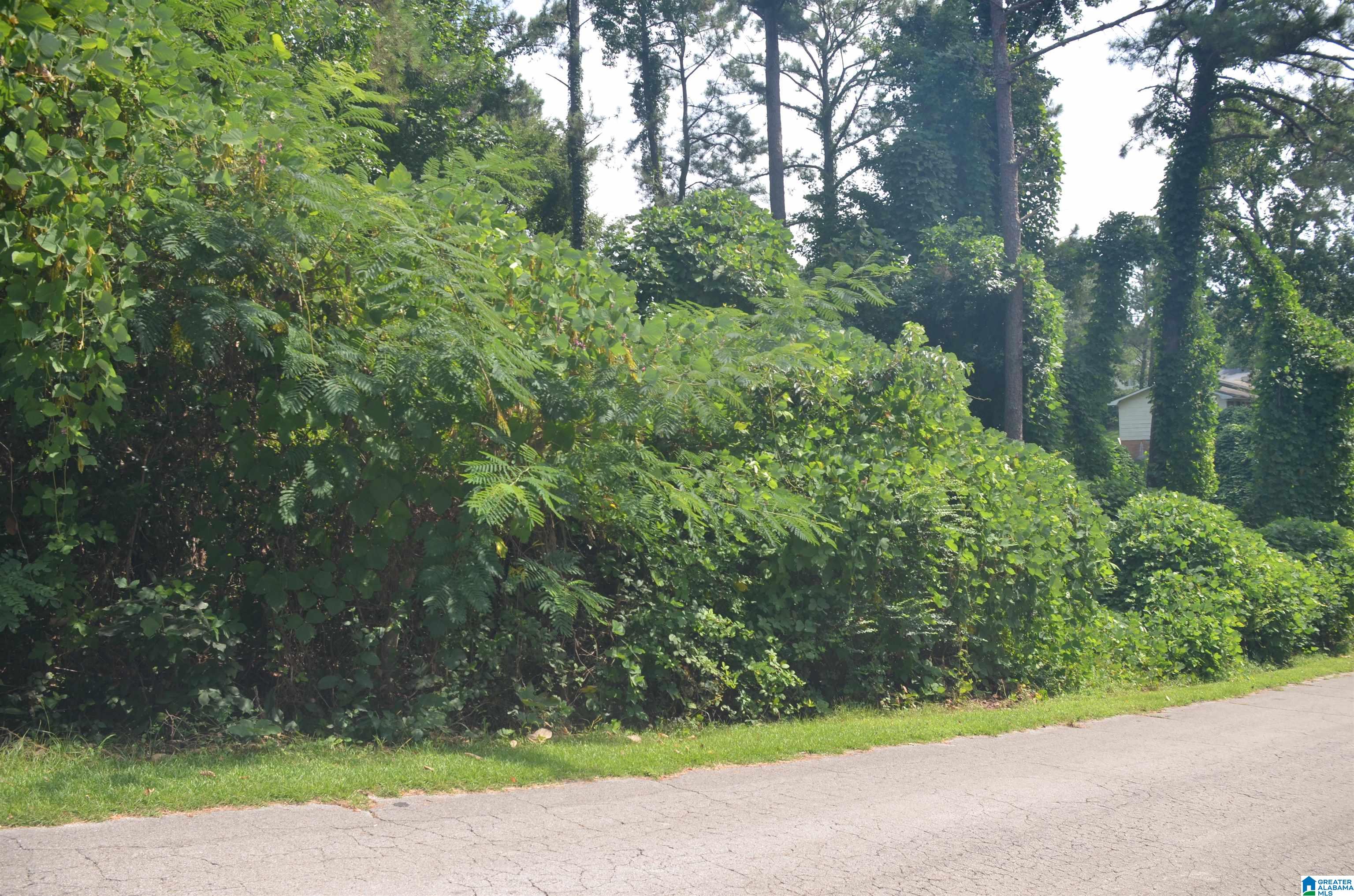 0 Hilltop Road Weaver, AL 36277 - Photo 6 of 8
