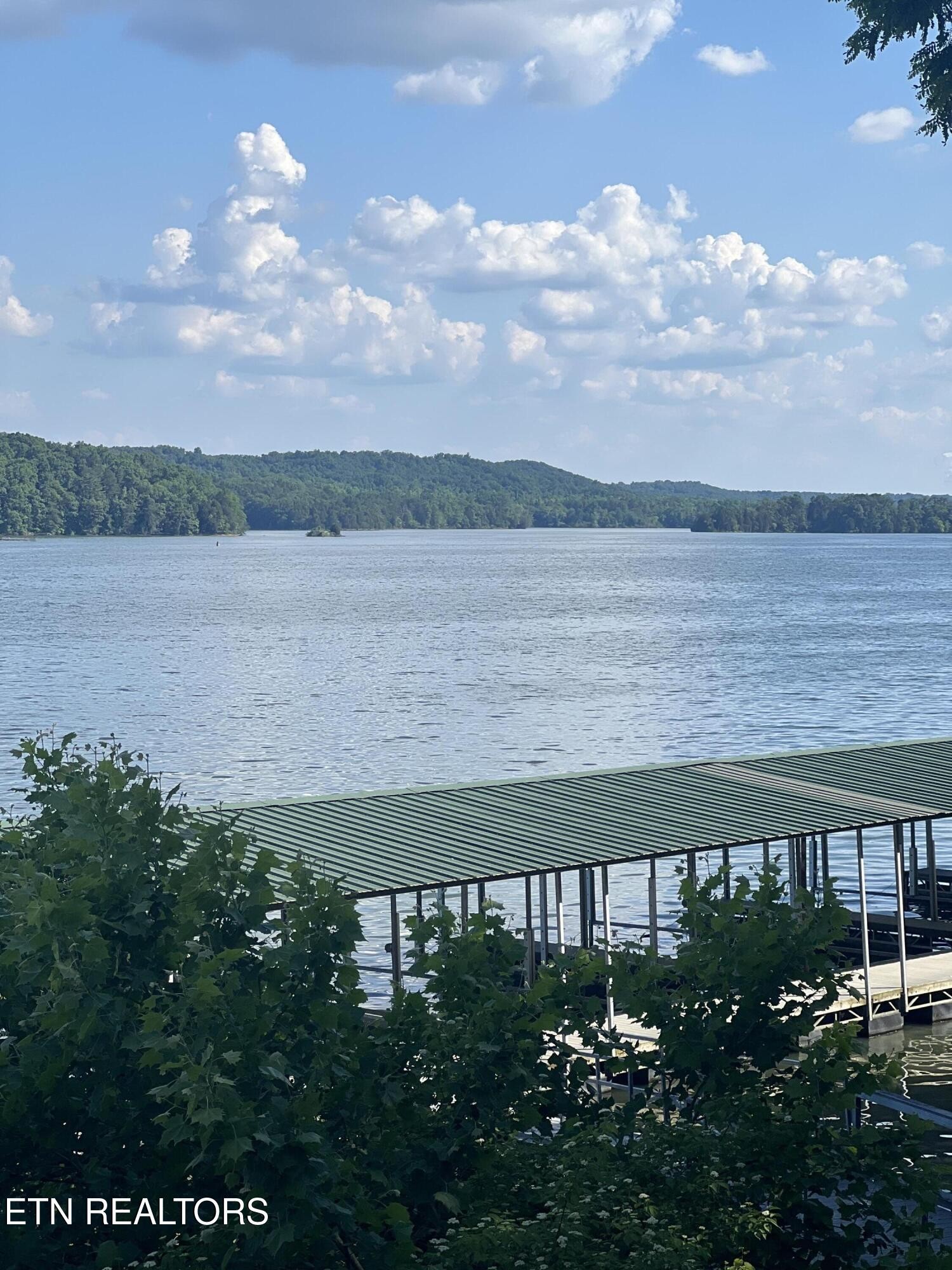 295 River Run Trail Spring City, TN 37381 - Photo 7 of 26