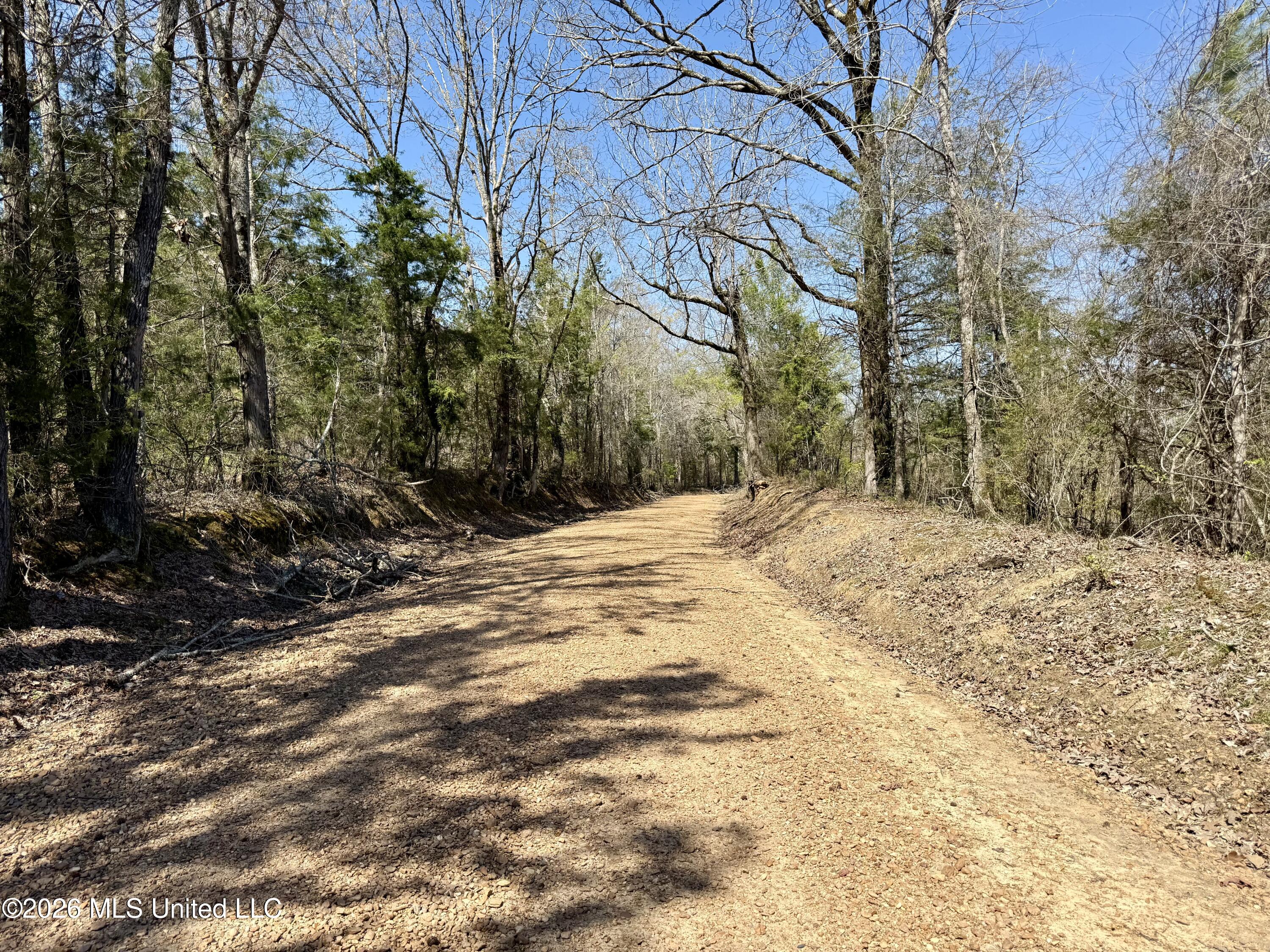 Brozville Road Lexington, MS 39095 - Photo 11 of 15 Photo Mar 20 2026, 11 59 49 AM