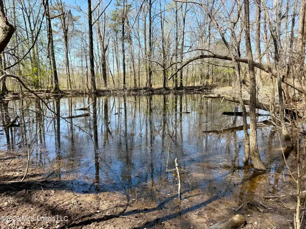 $190,000 | Brozville Road, Lexington, MS 39095