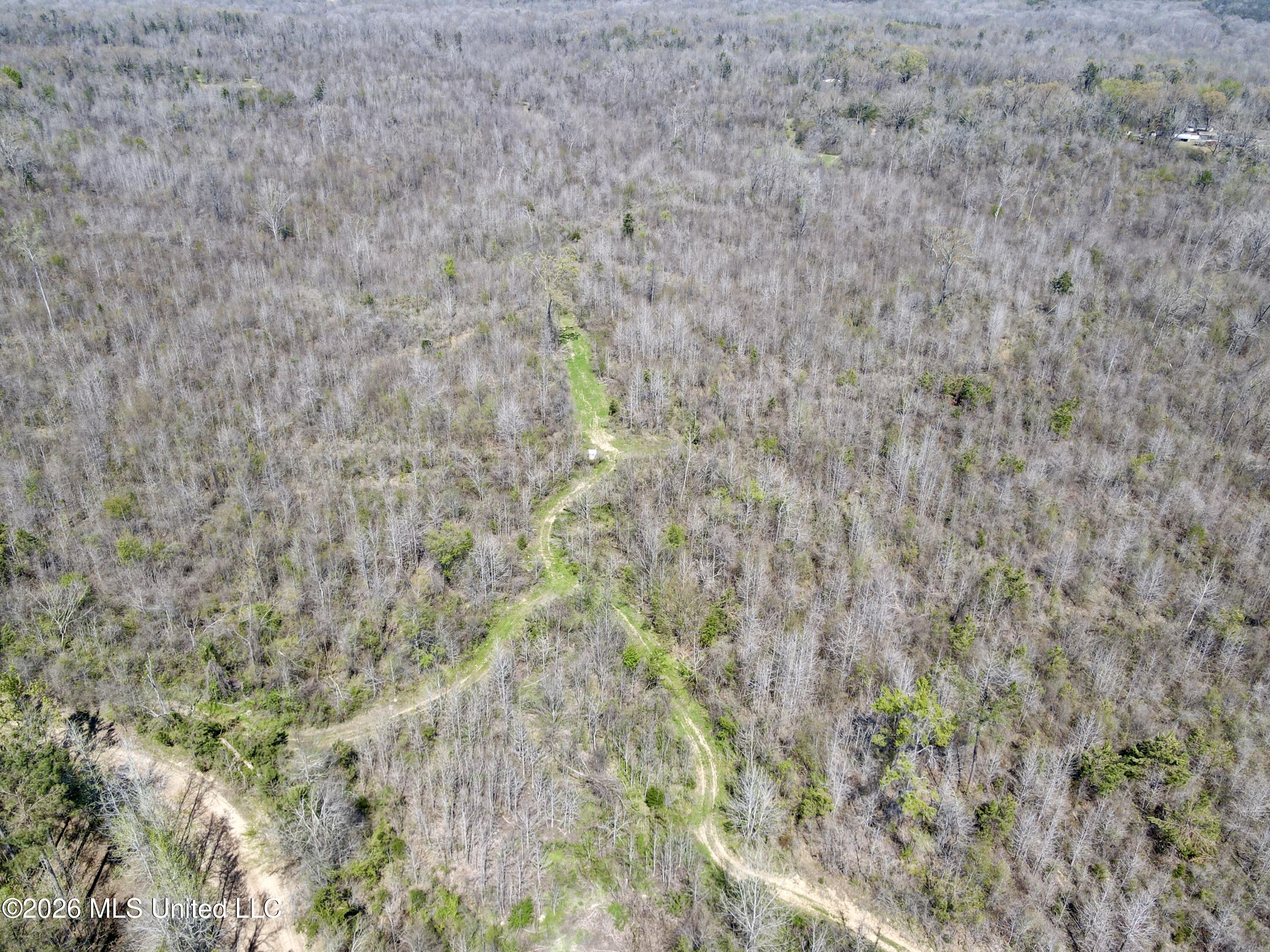 Brozville Road Lexington, MS 39095 - Photo 14 of 15 Photo Mar 21 2026, 1 44 55 PM