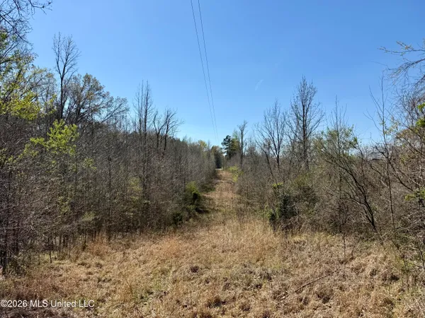 $190,000 | Brozville Road, Lexington, MS 39095