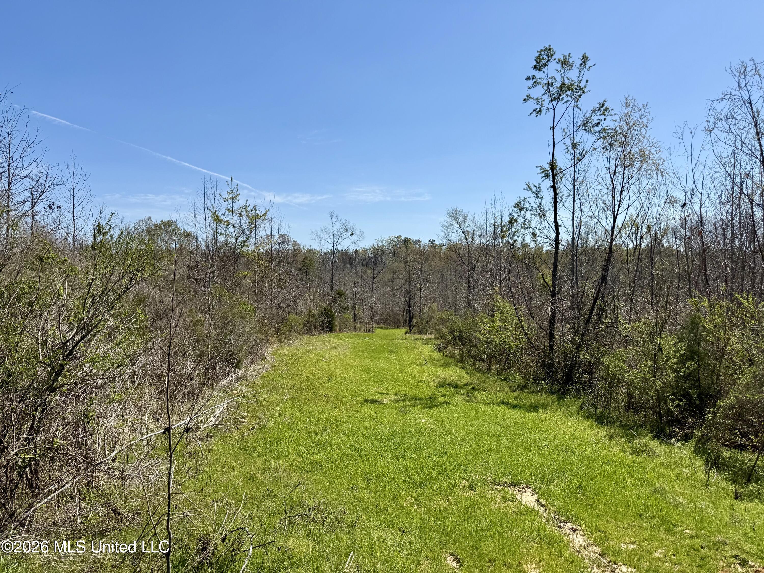 Brozville Road Lexington, MS 39095 - Photo 2 of 15 Photo Mar 20 2026, 11 54 39 AM