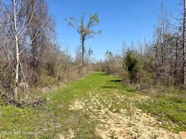 $190,000 | Brozville Road, Lexington, MS 39095