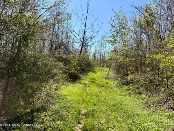 $190,000 | Brozville Road, Lexington, MS 39095