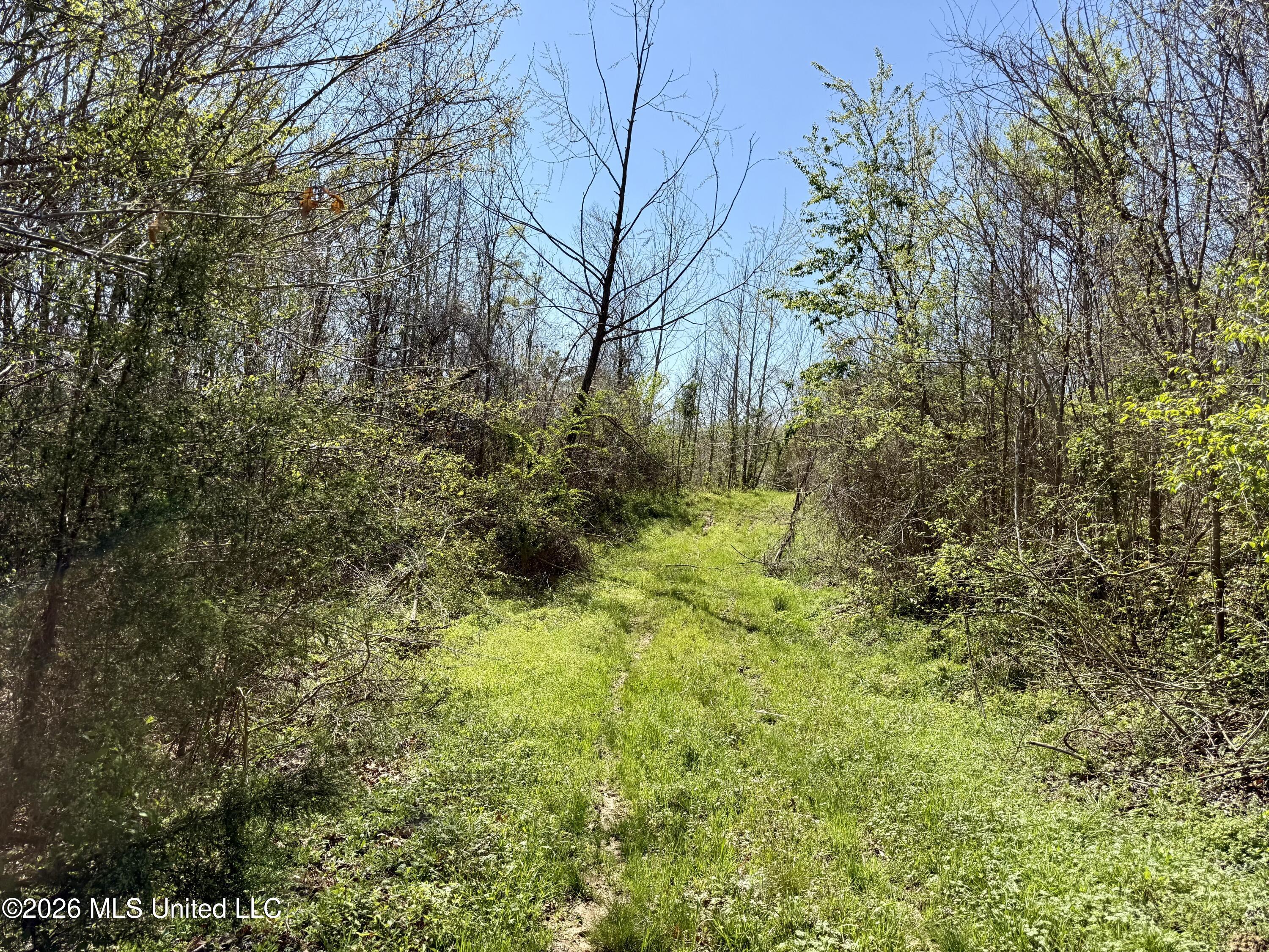 Brozville Road Lexington, MS 39095 - Photo 4 of 15 Photo Mar 20 2026, 11 53 47 AM
