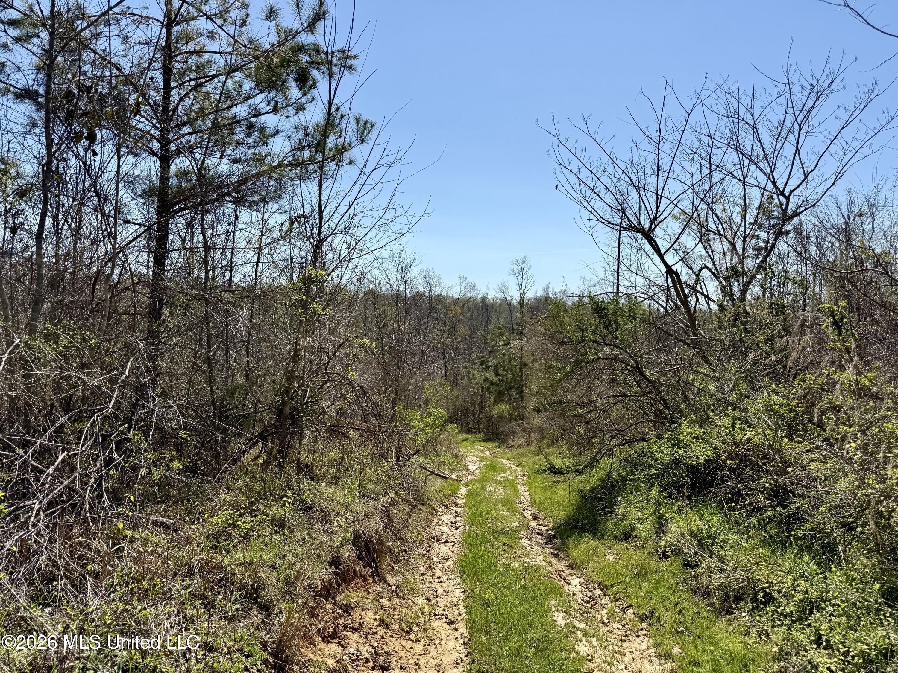 Brozville Road Lexington, MS 39095 - Photo 7 of 15 Photo Mar 20 2026, 11 54 15 AM