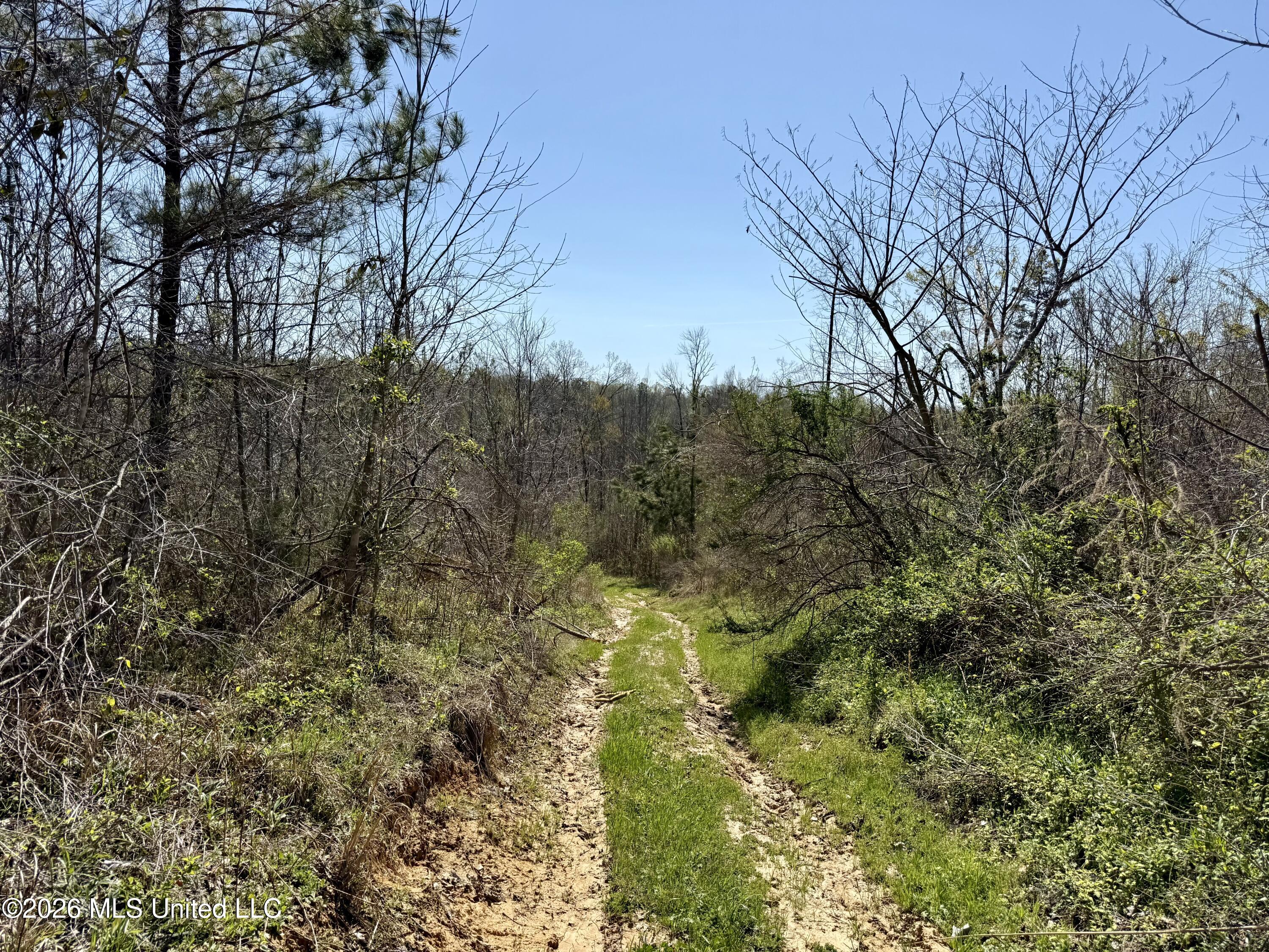 Brozville Road Lexington, MS 39095 - Photo 8 of 15 Photo Mar 20 2026, 11 54 17 AM
