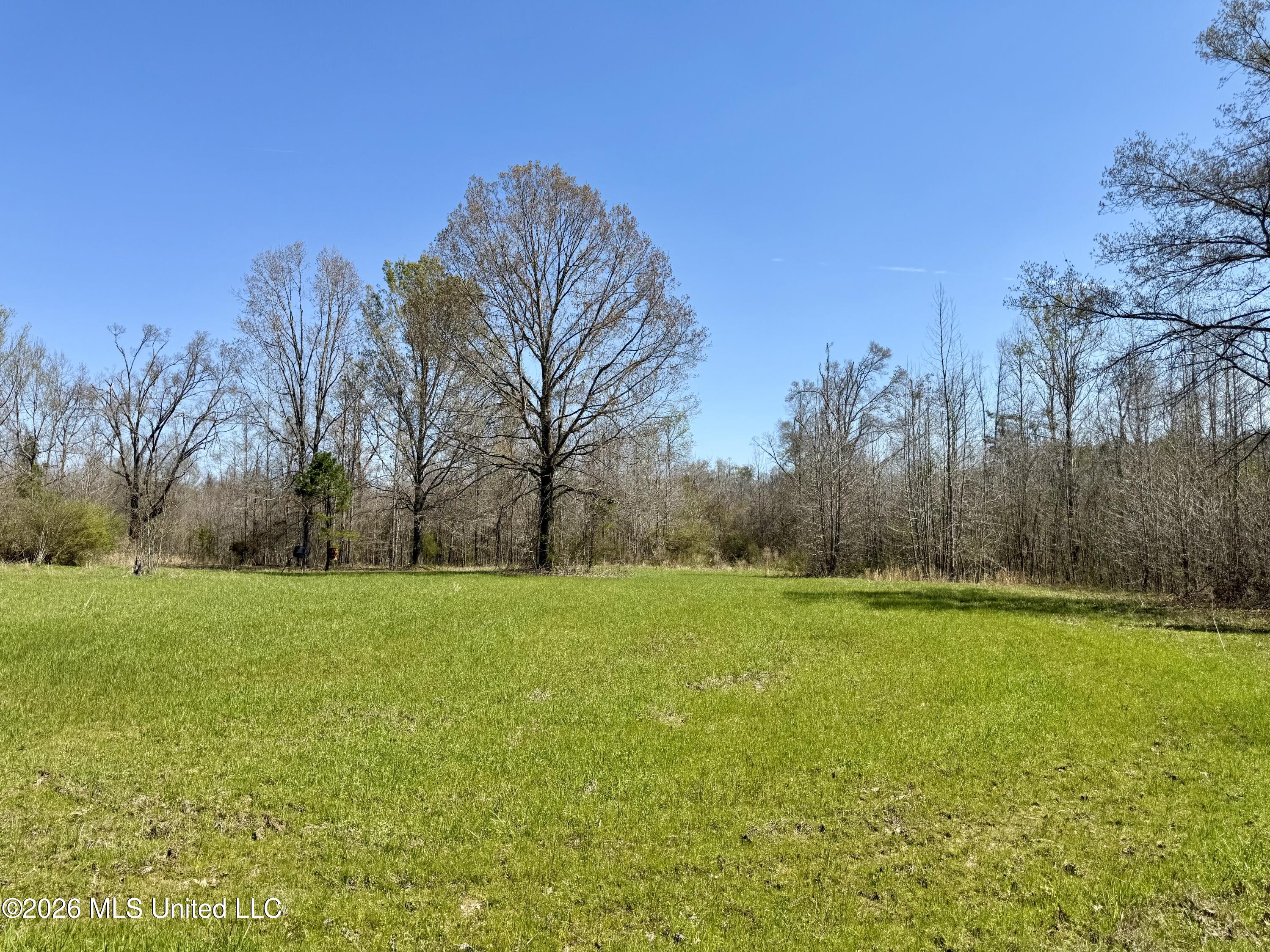 Brozville Road Lexington, MS 39095 - Photo 9 of 15 Photo Mar 20 2026, 11 55 19 AM
