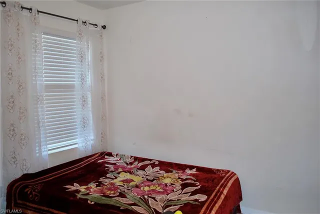 a living room with furniture flowerpot and a potted plant
