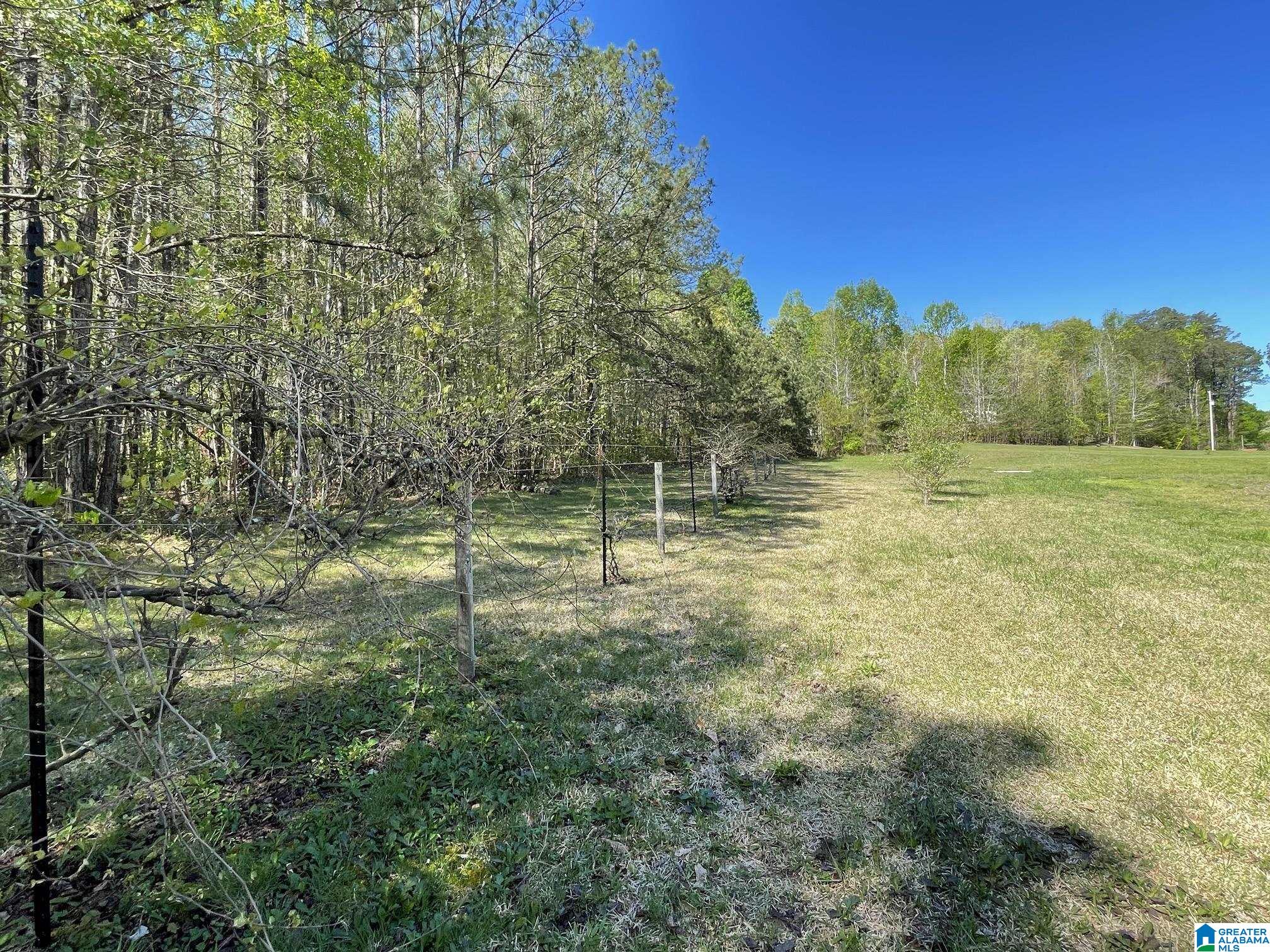 190 County Road 170, Unit 1 Jemison, AL 35085 - Photo 10 of 14