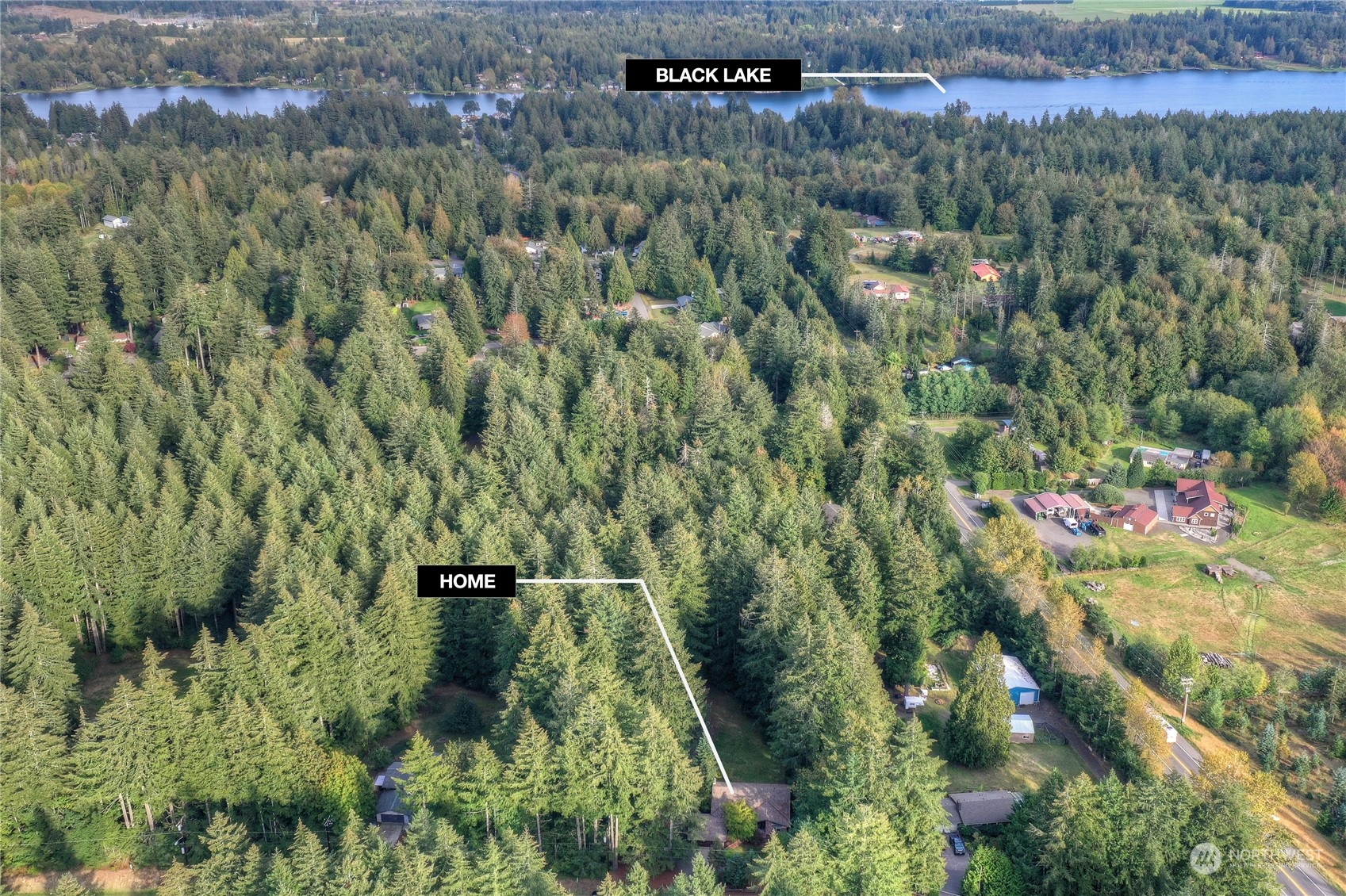 6120 Delphi Road Southwest Olympia, WA 98512 - Photo 39 of 40 a view of a bunch of trees and bushes