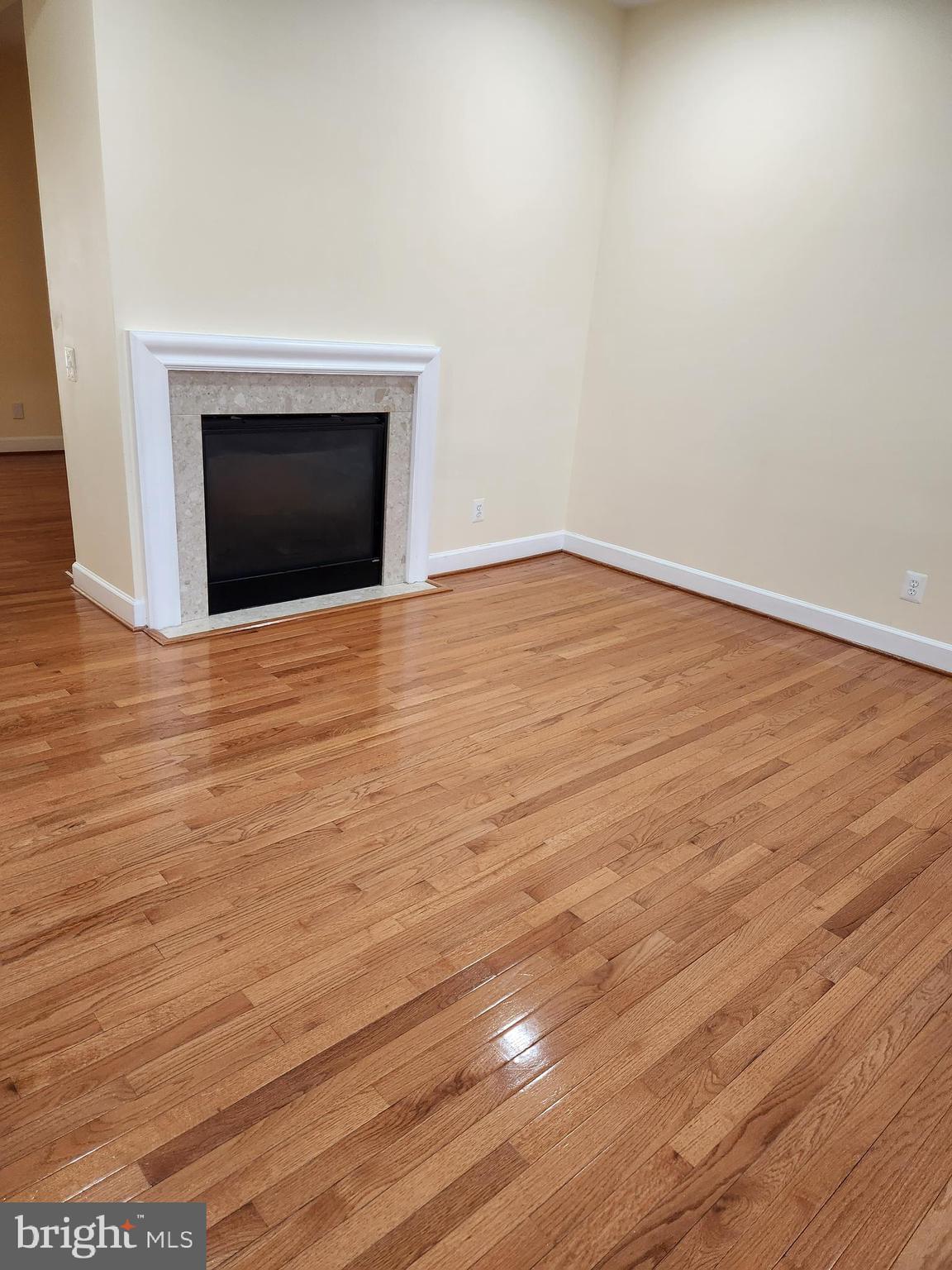 2481 Walnut Rocker Lane Herndon, VA 20171 - Photo 4 of 19 Living room w/fireplace