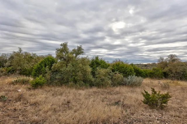 a view of a yard with a tree