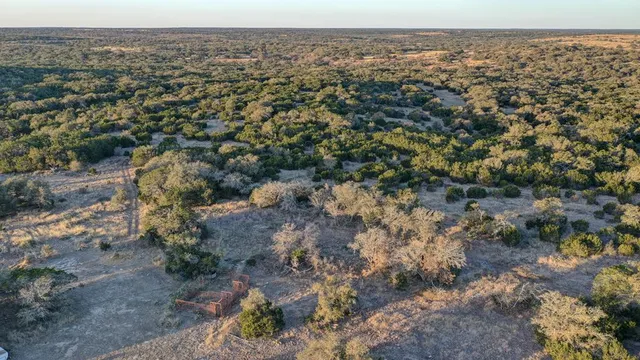 a view of a yard with plants and trees