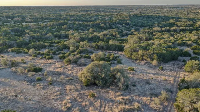 a view of a dry yard