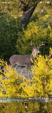 a view of a yard covered with snow in back