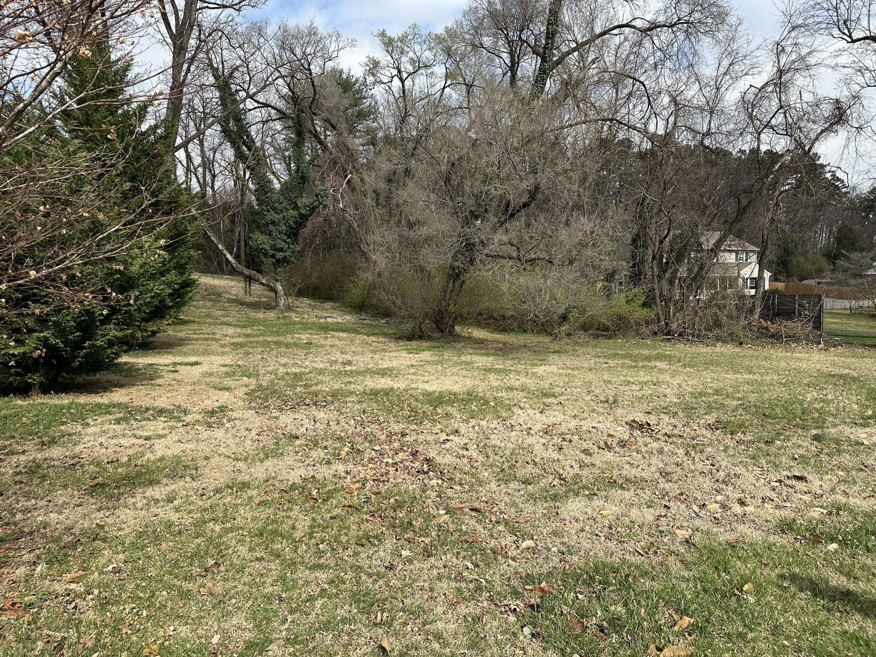 0 Windsor Road Southwest Roanoke, VA 24018 - Photo 1 of 6 a view of a yard with a tree