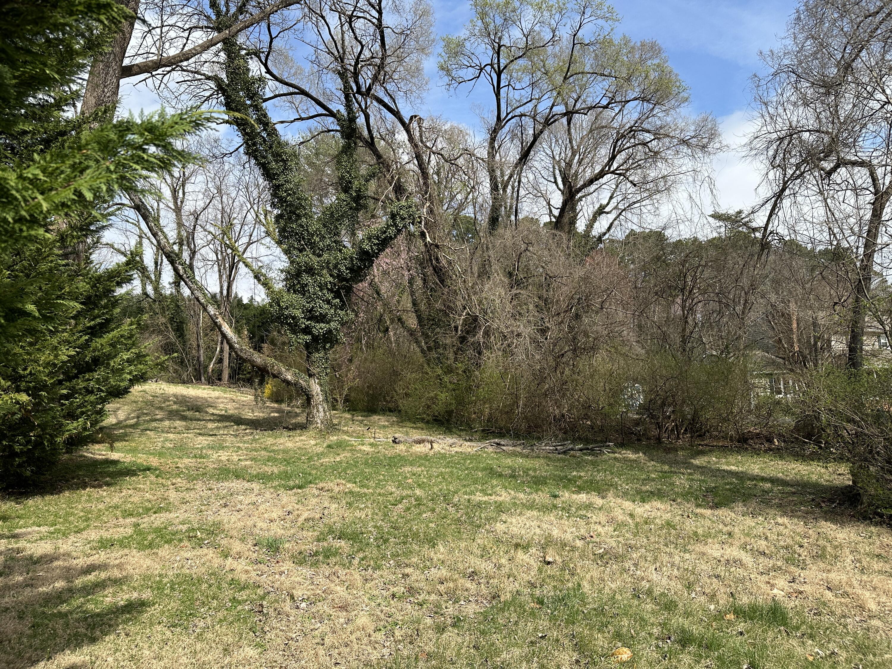 0 Windsor Road Southwest Roanoke, VA 24018 - Photo 3 of 6 a view of a yard with a tree