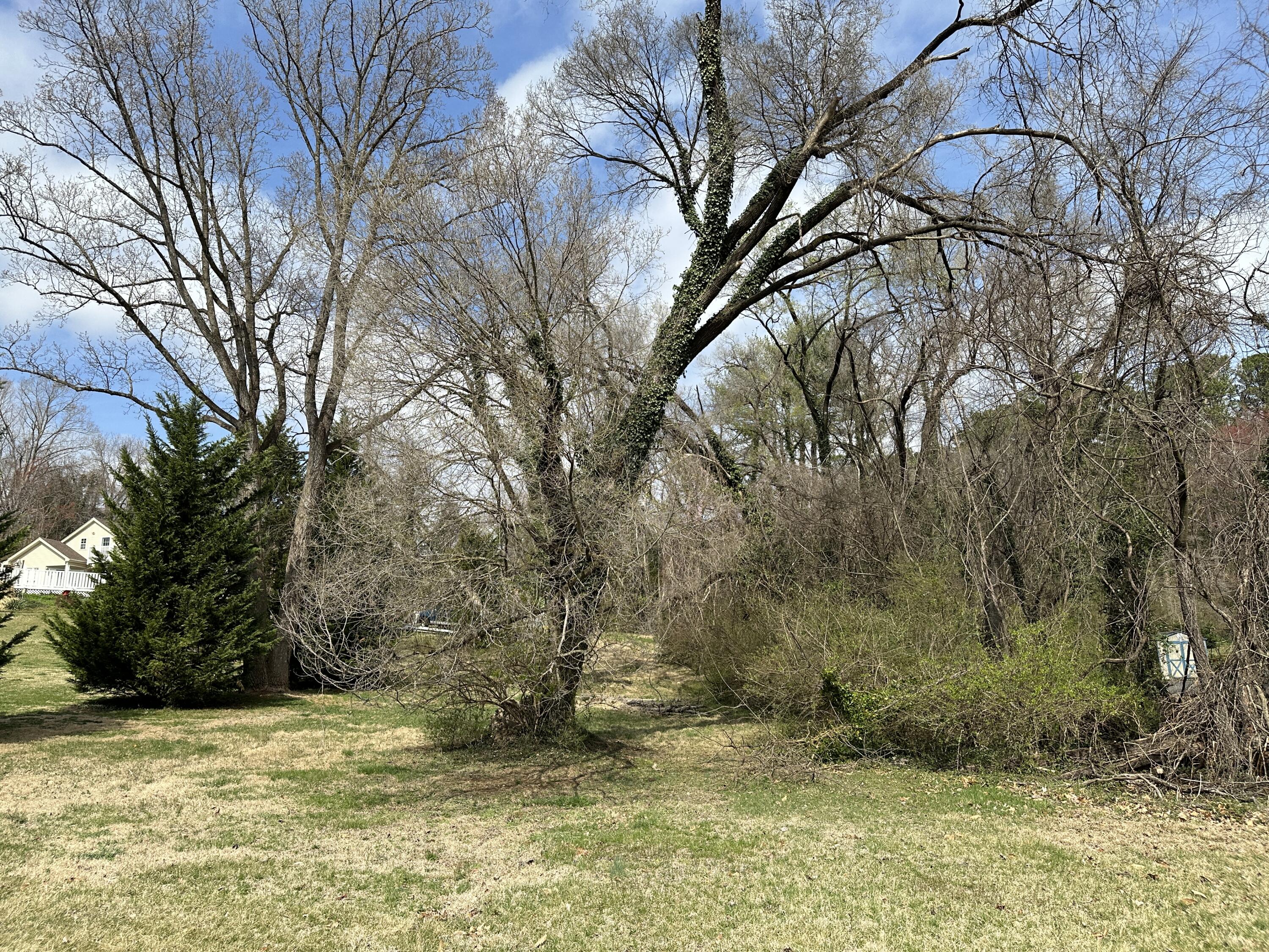 0 Windsor Road Southwest Roanoke, VA 24018 - Photo 4 of 6 a view of a yard with a large tree