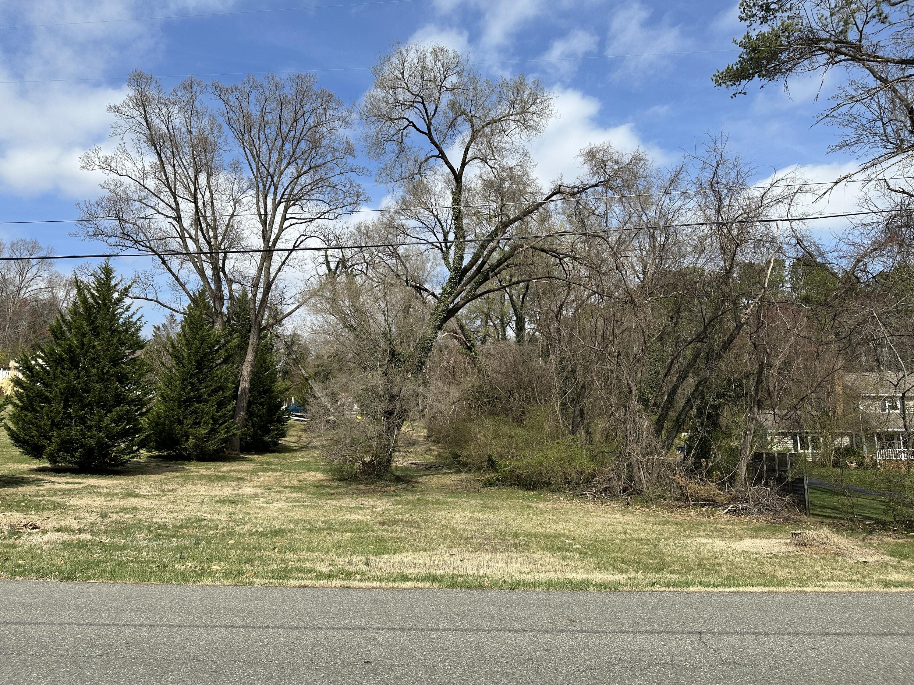 0 Windsor Road Southwest Roanoke, VA 24018 - Photo 5 of 6 a view of a yard with large trees