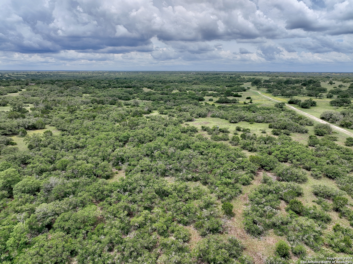 465 Watkins Road Mountain Home, TX 78058 - Photo 50 of 56 a view of a bunch of trees