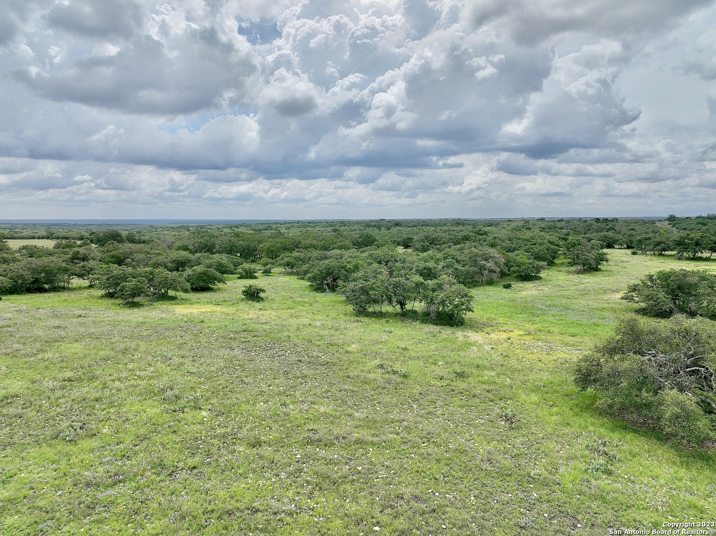 465 Watkins Road Mountain Home, TX 78058 - Photo 5 of 56 a view of a big yard with plants and large trees