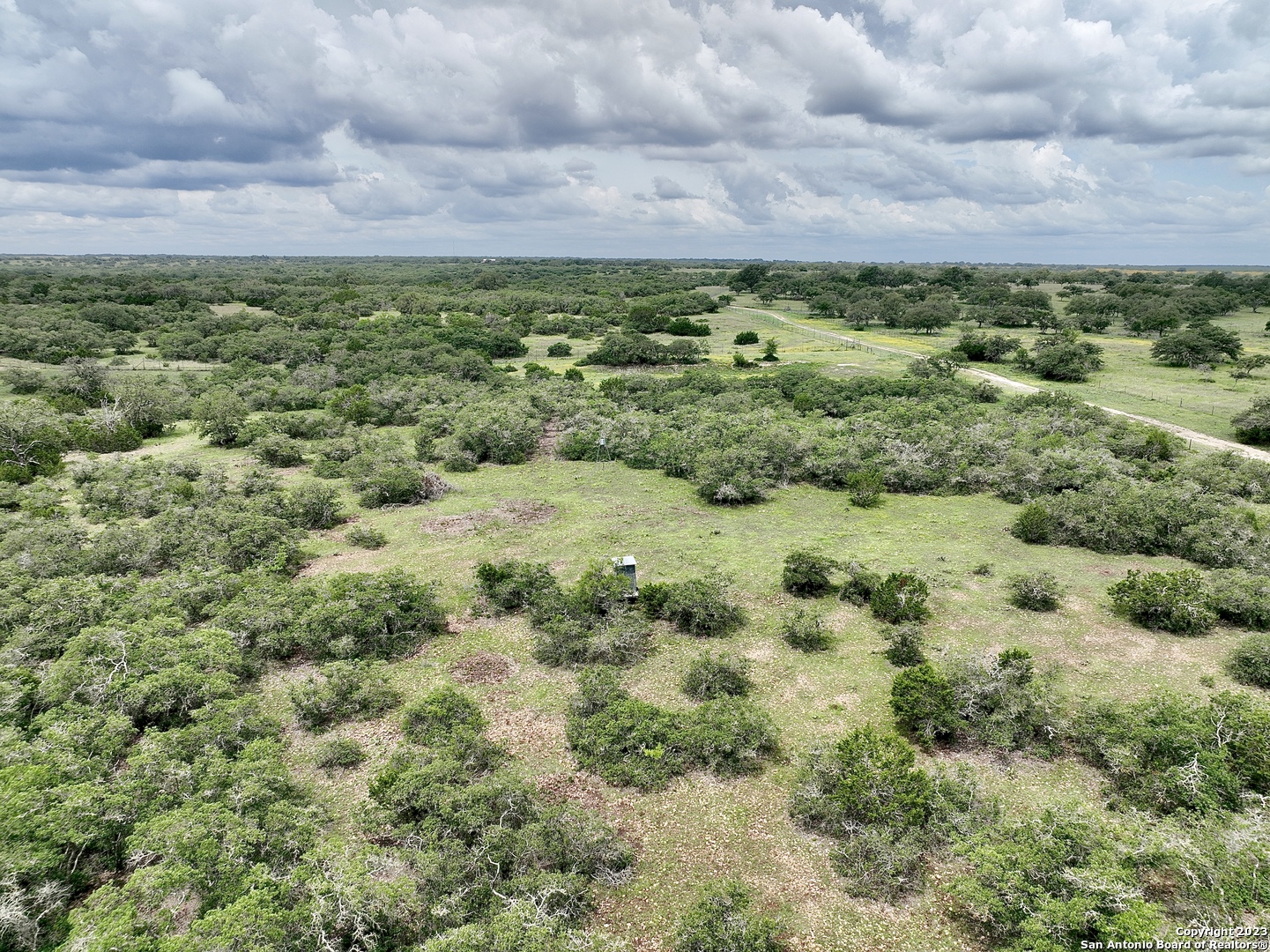465 Watkins Road Mountain Home, TX 78058 - Photo 52 of 56 a view of a bunch of trees in a field