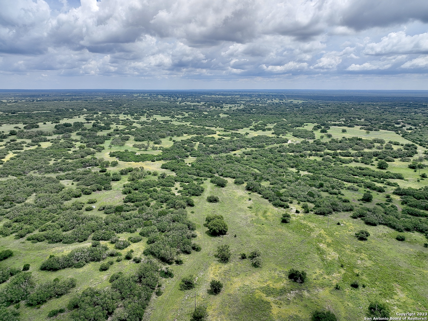 465 Watkins Road Mountain Home, TX 78058 - Photo 53 of 56 a view of a green field with lots of bushes