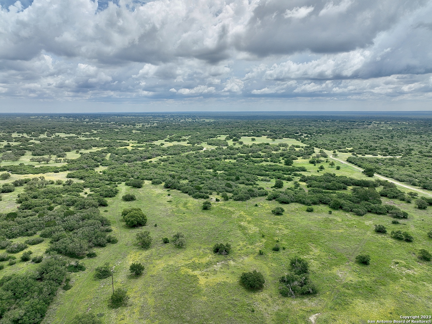 465 Watkins Road Mountain Home, TX 78058 - Photo 6 of 56 a view of a bunch of trees and bushes