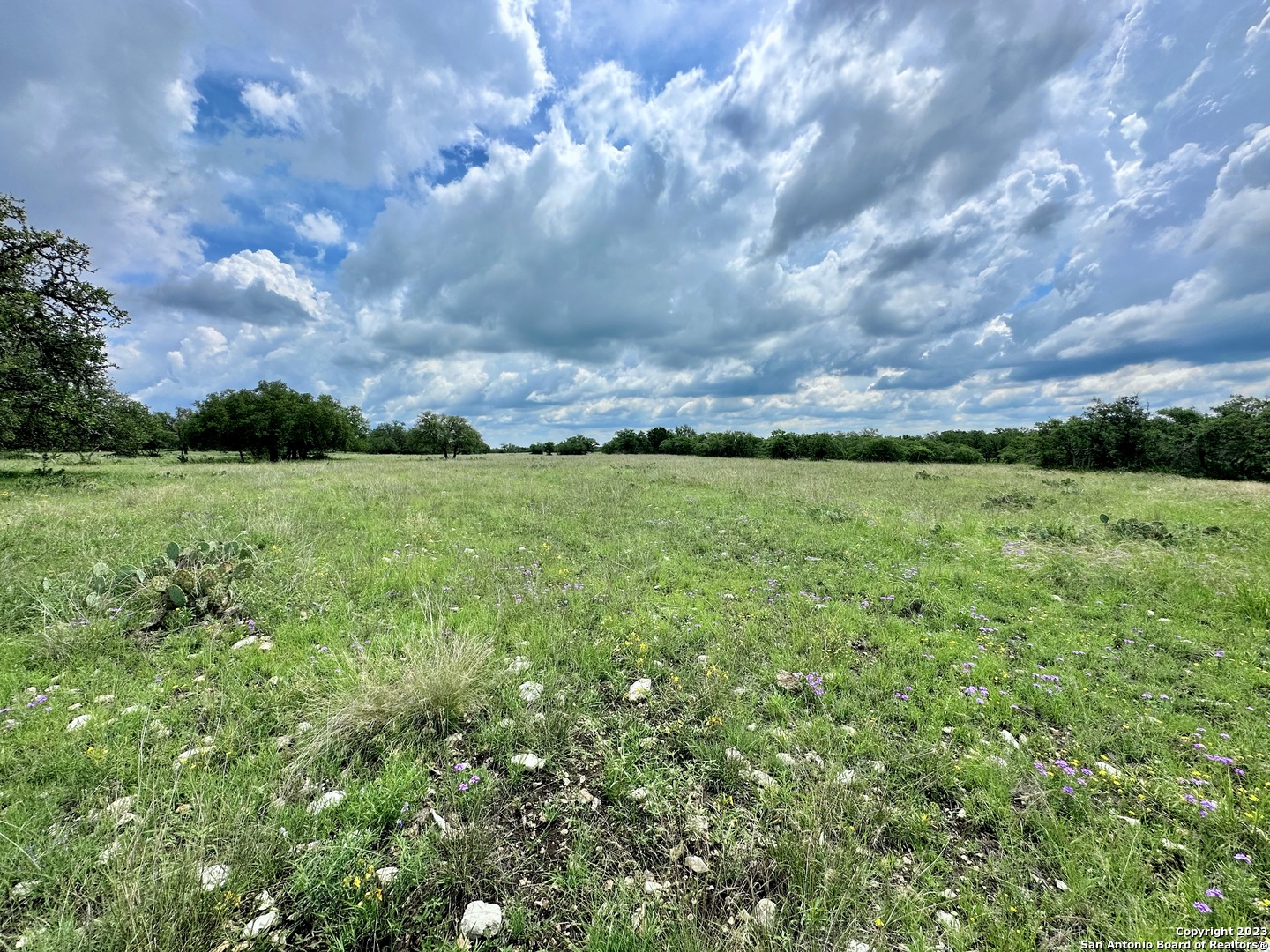 465 Watkins Road Mountain Home, TX 78058 - Photo 8 of 56 a view of a big yard with plants and a large tree