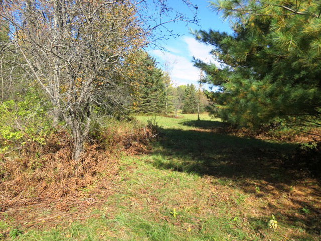 1 Stickney Bridge Road Jay, NY 12941 - Photo 8 of 9 Gallery Image 8