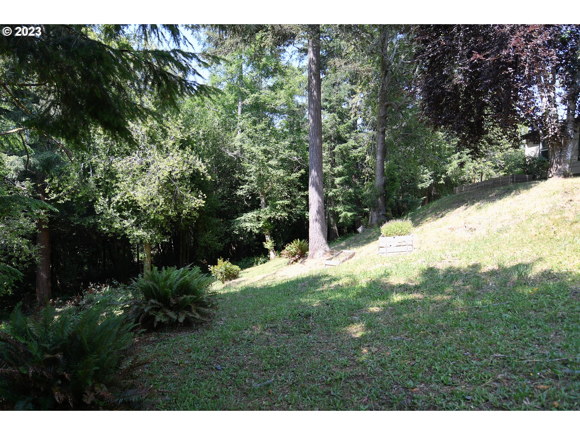 99851 Mt Emily Road Brookings, OR 97415 - Photo 42 of 46