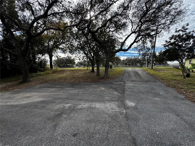 a view of dirt yard with a large tree