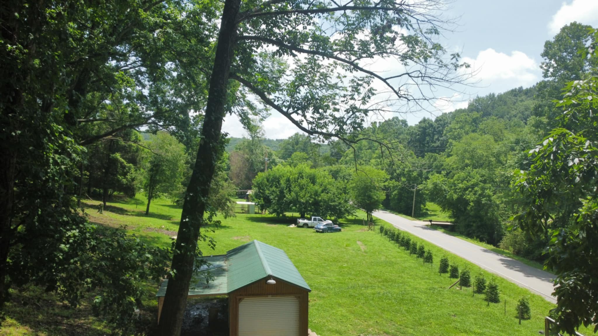 1162 Rock Bridge Road Bethpage, TN 37022 - Photo 3 of 9 a view of a park with large trees