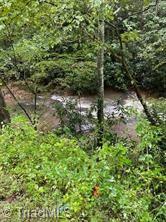 0 Mt Zion Road Deep Gap, NC 28618 - Photo 2 of 16