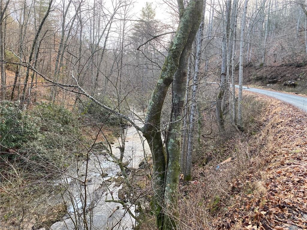 0 Mt Zion Road Deep Gap, NC 28618 - Photo 7 of 16