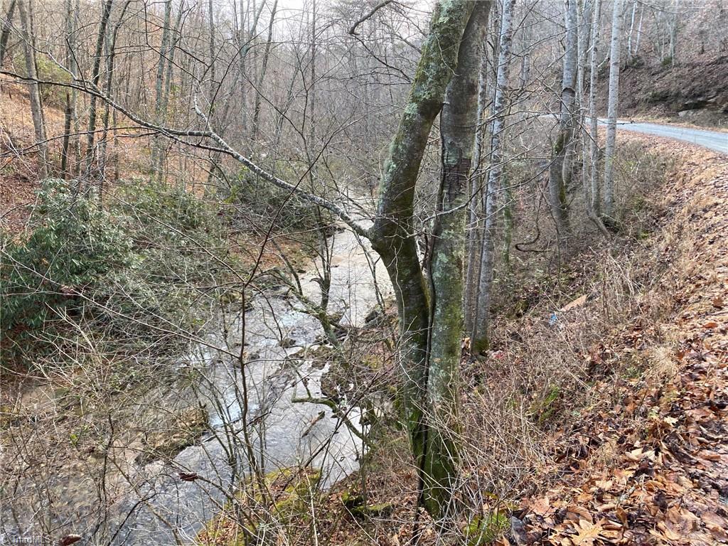 0 Mt Zion Road Deep Gap, NC 28618 - Photo 8 of 16