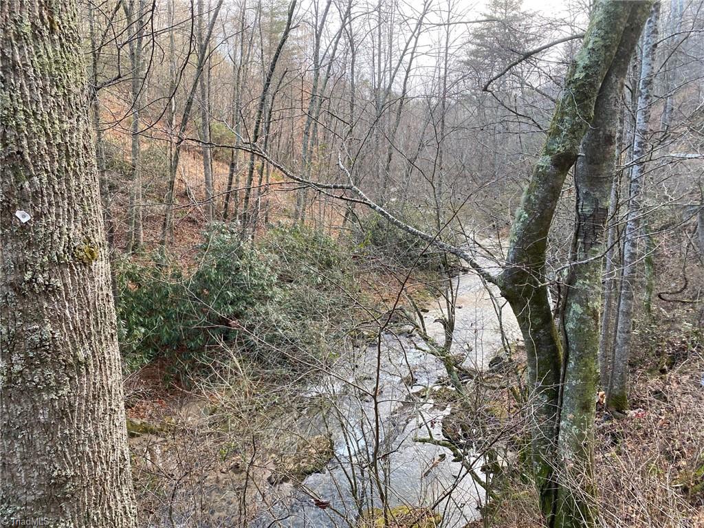 0 Mt Zion Road Deep Gap, NC 28618 - Photo 9 of 16