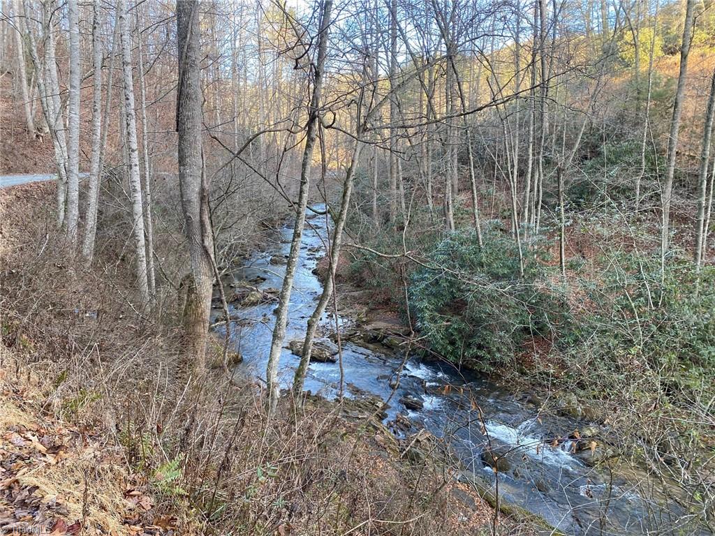 0 Mt Zion Road Deep Gap, NC 28618 - Photo 10 of 16