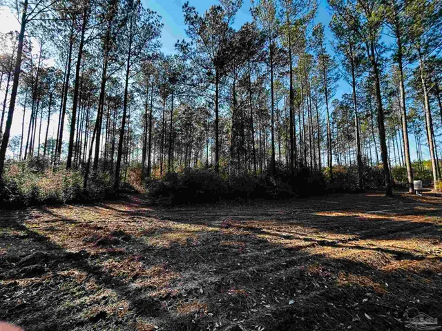 $99,900 | Lot 407 Country Mill Road, Jay, FL 32565