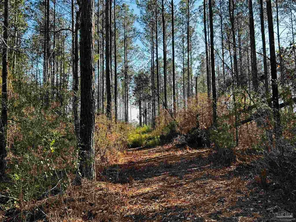 $99,900 | Lot 407 Country Mill Road, Jay, FL 32565