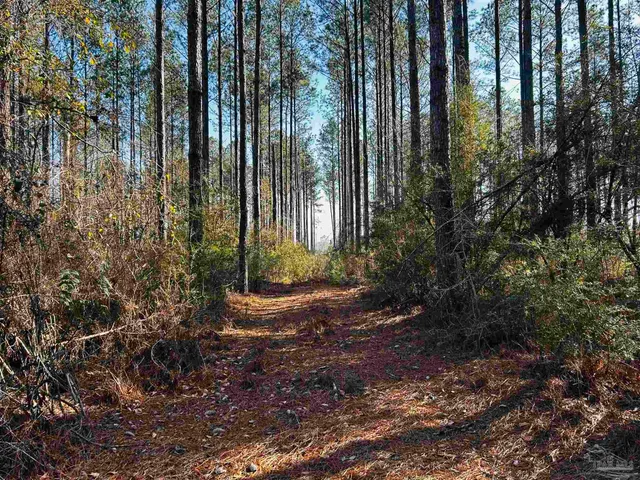 $99,900 | Lot 407 Country Mill Road, Jay, FL 32565