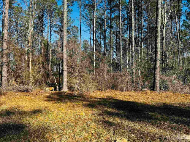 $99,900 | Lot 407 Country Mill Road, Jay, FL 32565