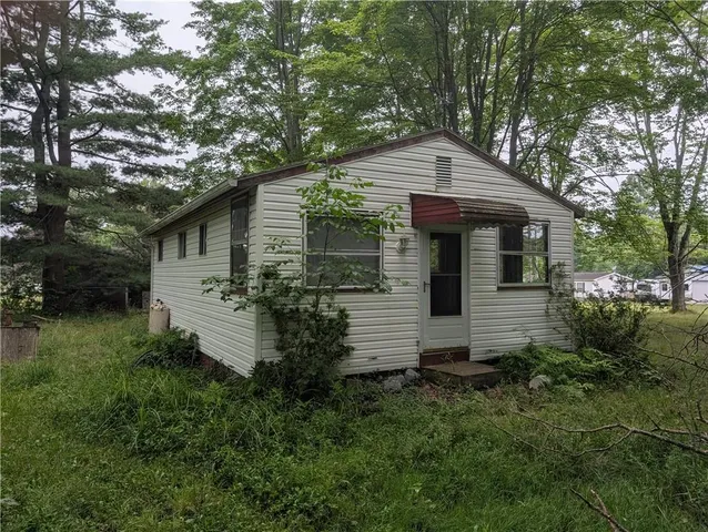 a backyard of a house with plants and tree