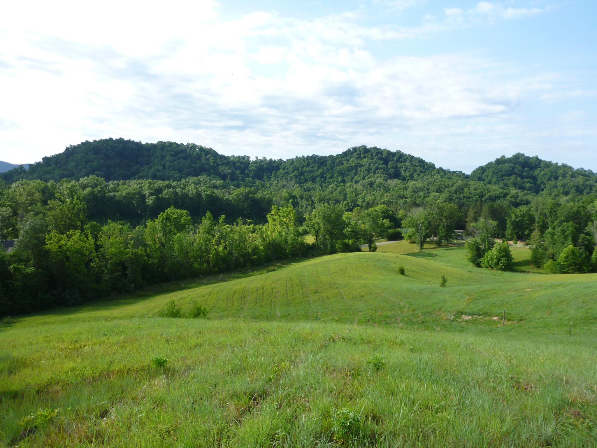 0 Big Gully Road Maryville, TN 37801 - Photo 1 of 8 Gallery Image 1