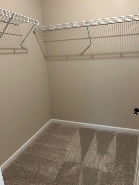 304 Hickory Pointe Drive Dickson, TN 37055 - Photo 26 of 26 a view of small space