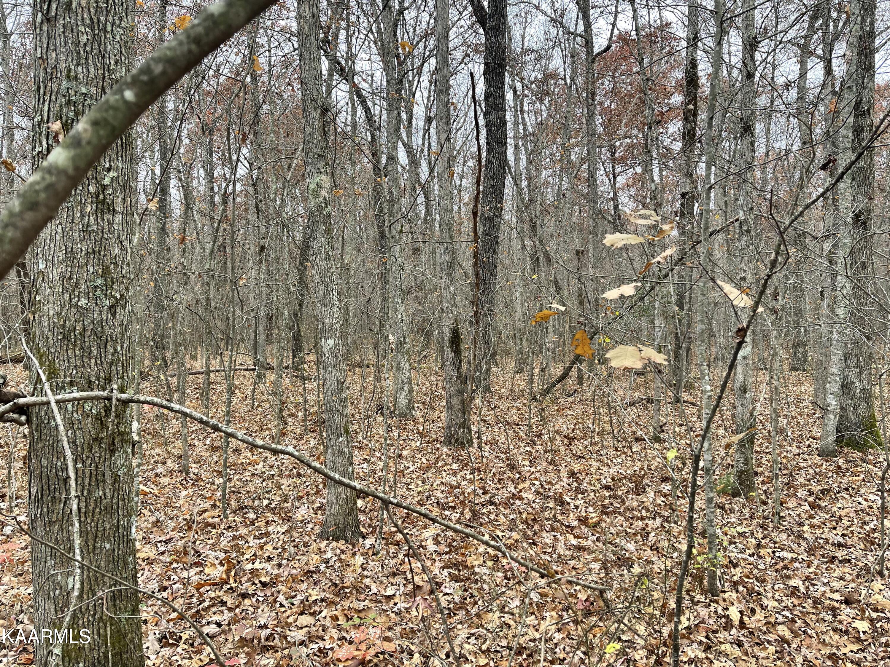 East Overlook Road, Unit 6 Monterey, TN 38574 - Photo 1 of 3 A3C6E6FF-C6B6-4E21-8B22-3289F7046B28
