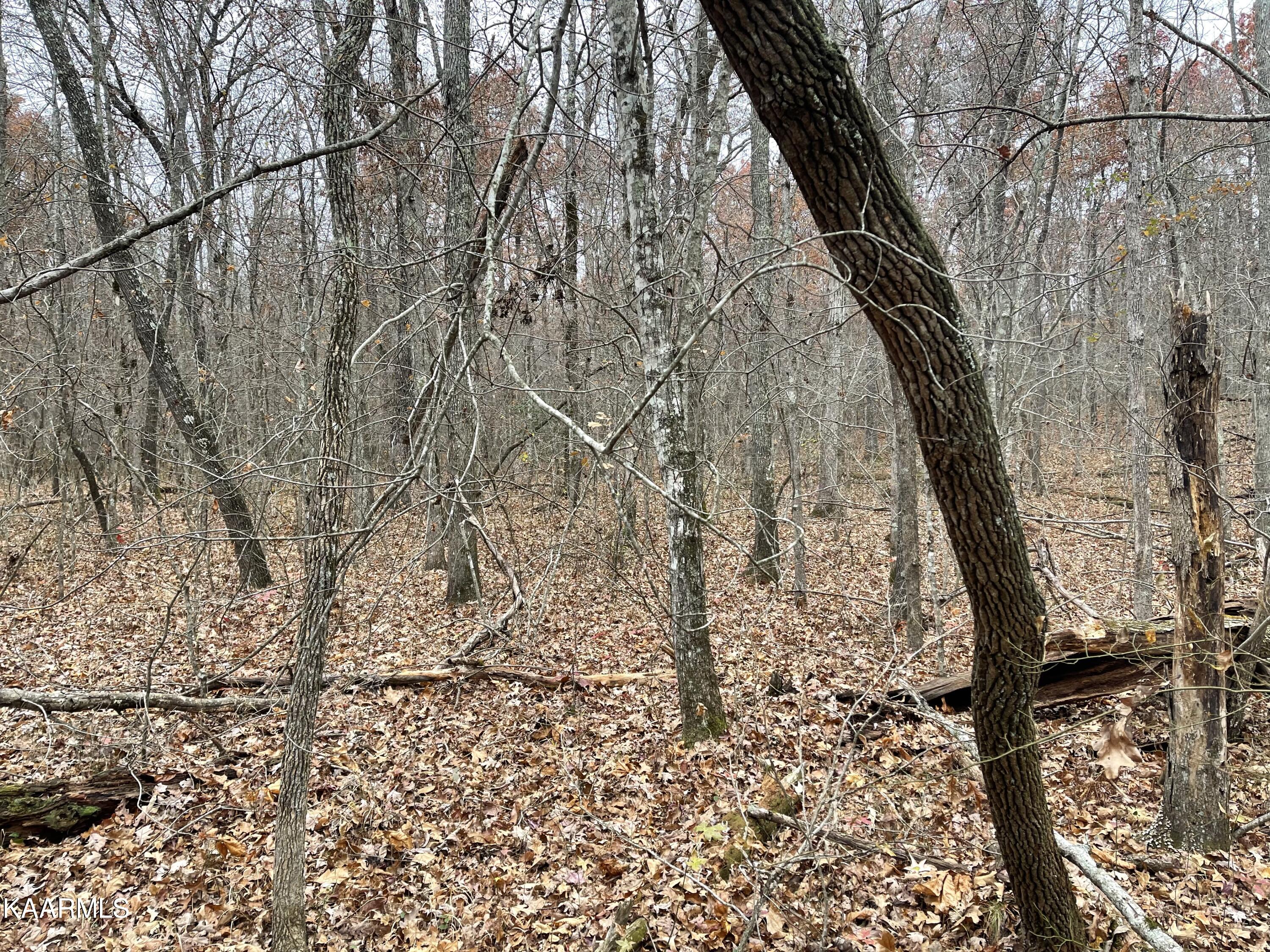 East Overlook Road, Unit 6 Monterey, TN 38574 - Photo 2 of 3 4F85925E-8948-41D6-8A32-0D817AD30B2E